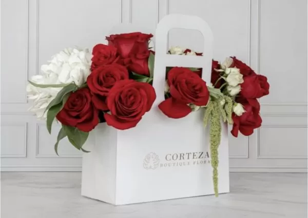 Rouge Bag
